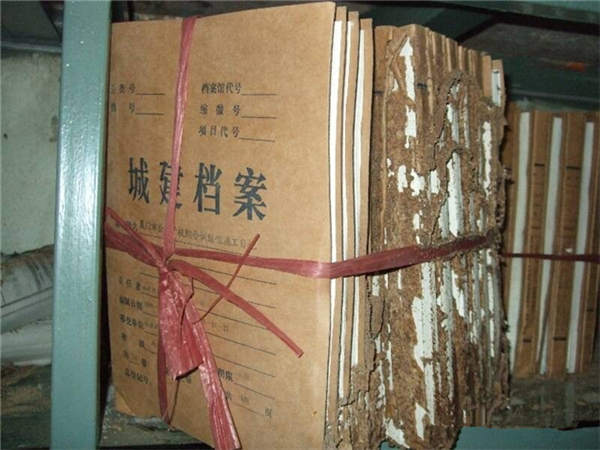 圖片8.jpg